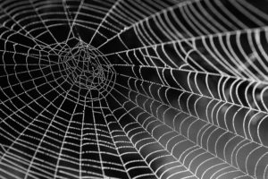 demand generation spider web