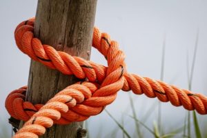 Orange rope tied to wooden log